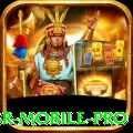 211br Mobile Pro